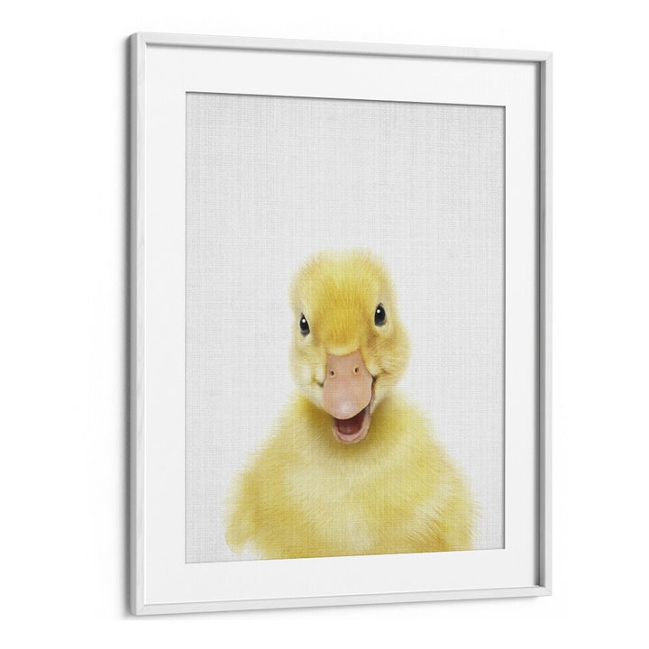 PEEKABOO BABY DUCK BY LOLA PEACOCK  , KIDS ROOM PAINTINGS , KIDS ROOM WALL ART