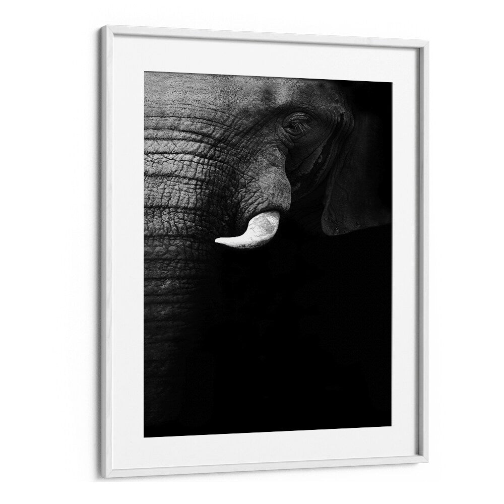 ELEPHANT PORTRAIT