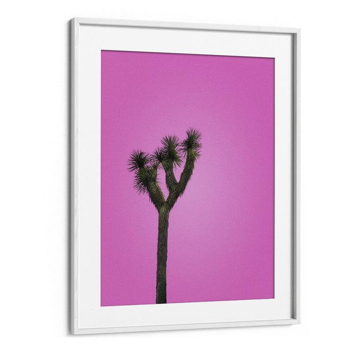 surreal painting - JOSHUA TREE WITH PINK SKY by Asianmonk