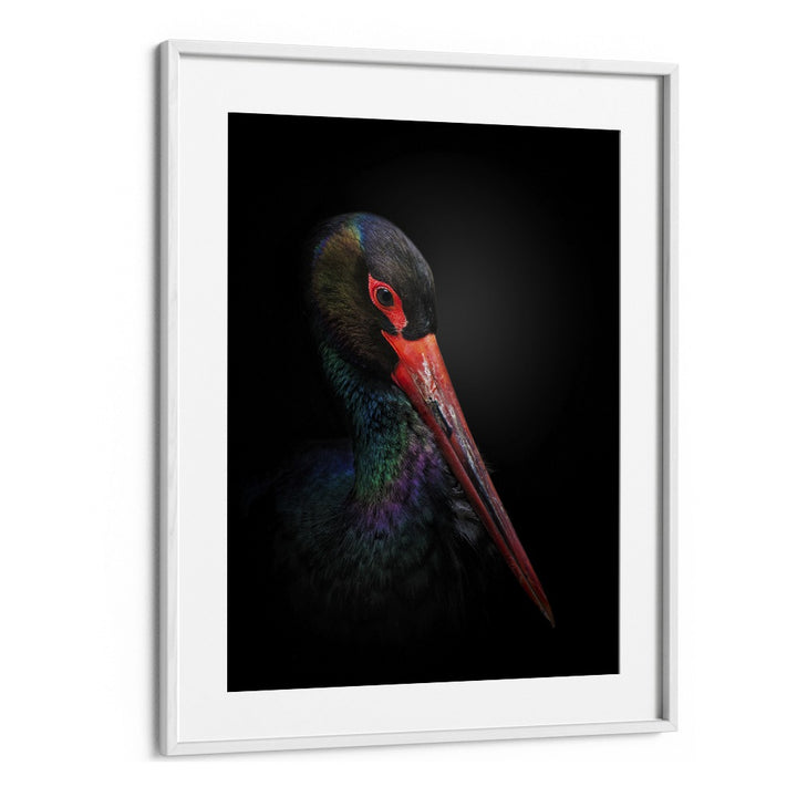 Christian Meermann painting - THE BLACK STORK by Asianmonk