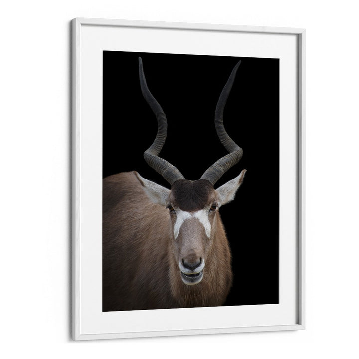 Christian Meermann painting - ADDAX NASOMACULATUS PORTRAIT by Asianmonk