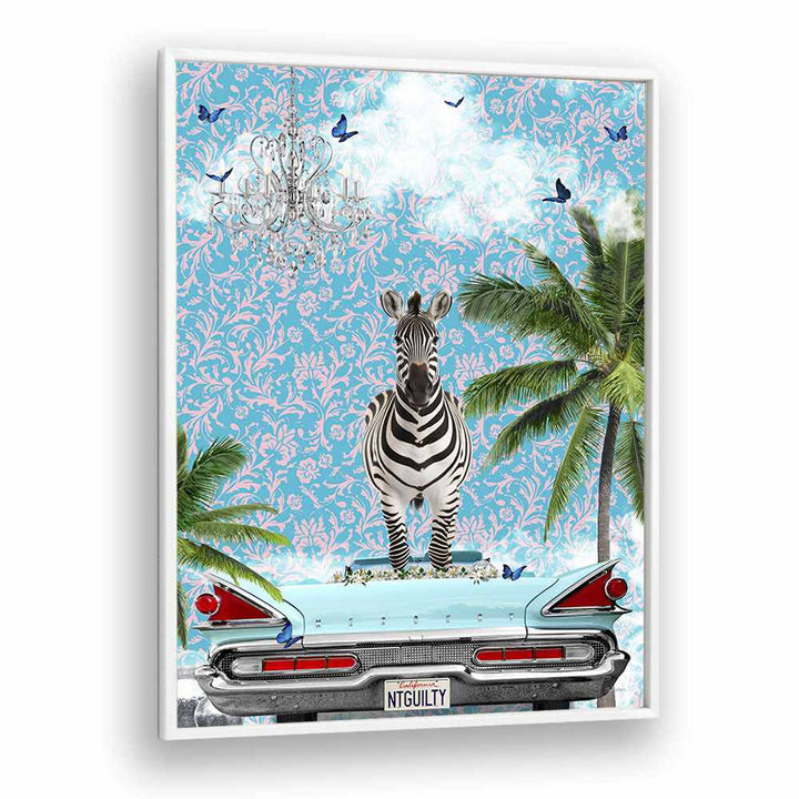 zebra california dream by sue skellern wall art prints in White Plain Frame