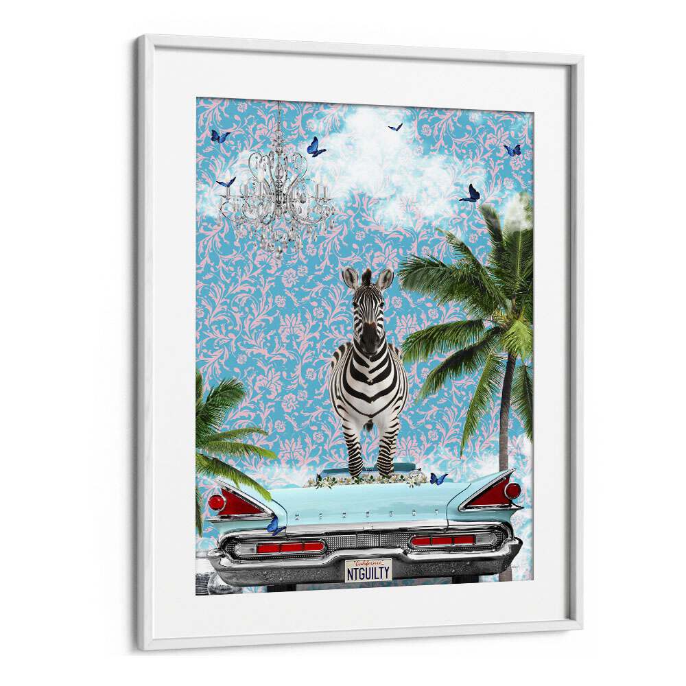 zebra california dreamby sue skellern wall art prints in White Frame With Mount